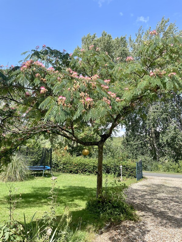 Overnatningsstedets område