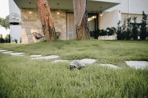 Property grounds