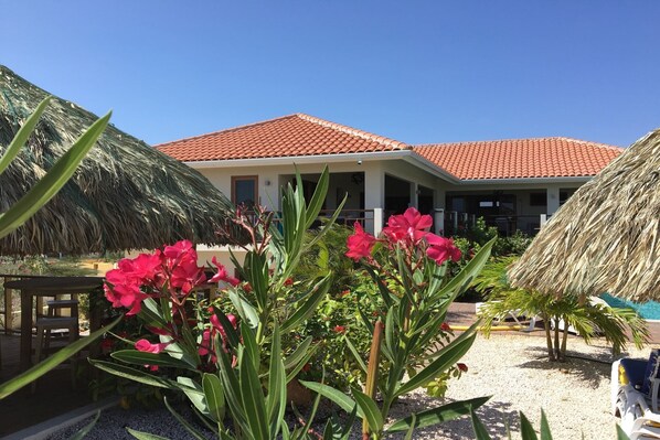 Außenseite Ferienhaus [Sommer]