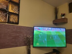 Fernseher