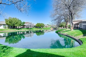 Water Feature Views