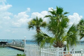 beautiful calming  views 