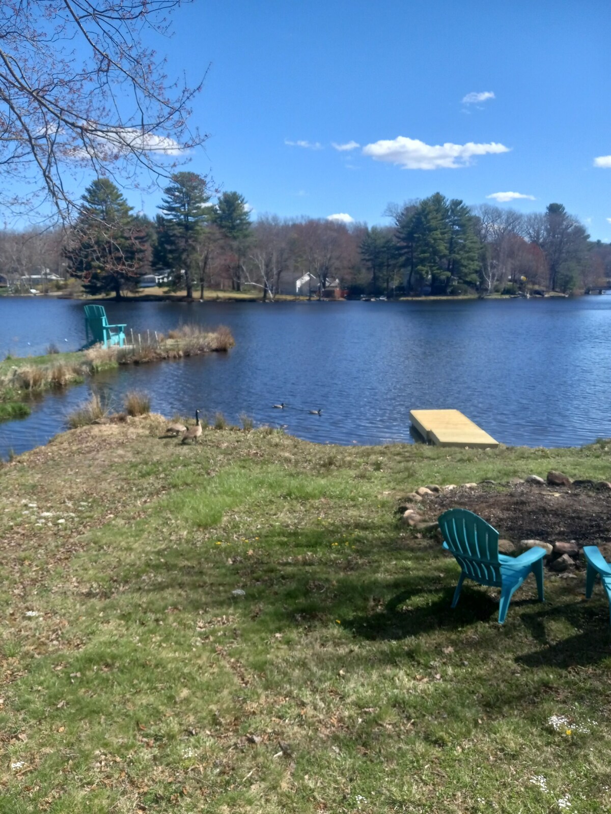Waterfront Cabin w Firepit, Dock, Deck, BBQ. Direct Lake Access! Pet-friendly!