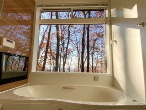 Bathroom (jet bath)