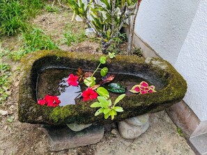island flowers
