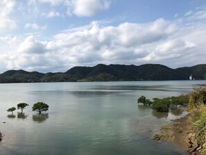 Tsushiro Bay in front of the inn