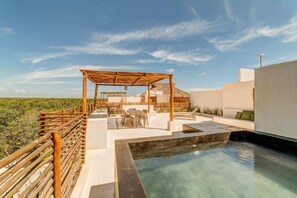 Your own private rooftop lounge and plunge pool!