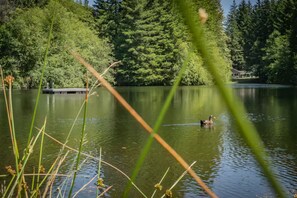 Community lake offers swimming and fishing!