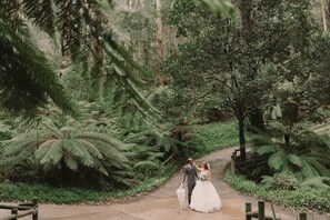 Married among the giants