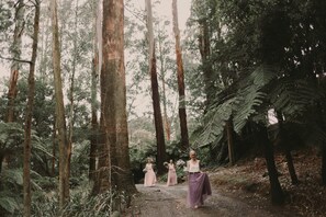 Love under the canopy