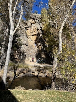 View from north side of property with river.jpeg