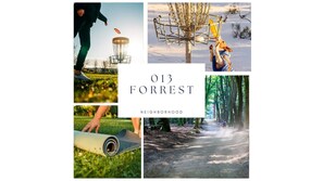 Old Forest: Discover the Serenity of Ancient Trees Nearby