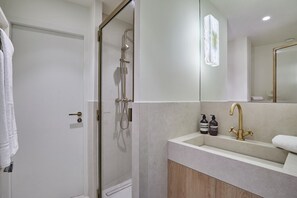 Salle de bain 2 (lavabo et douche)