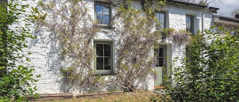 The outside of Fronlefrith with Wisteria growing up the house and bushes in front of it
