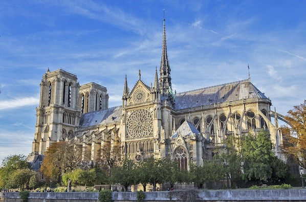 The most amazing view: direct on Notre Dame cathedral, Seine river and the Quai