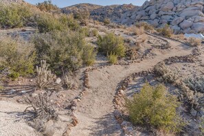 Hiking Trails