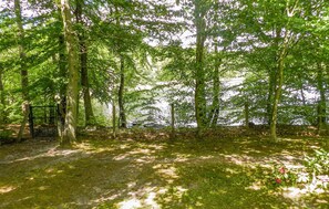 area