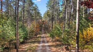 The cabin is set back nearly 1,000 feet from the road