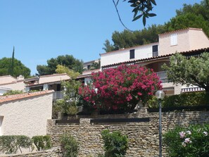 Sky, Plant, Flower, Building, Window, Tree, House, Cottage, Facade, Shrub