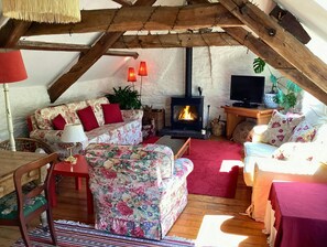 3 seater sofa, 2 seater sofa, armchair, tv with big plant, fireplace, coffee table and rug