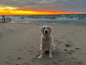 Spiaggia