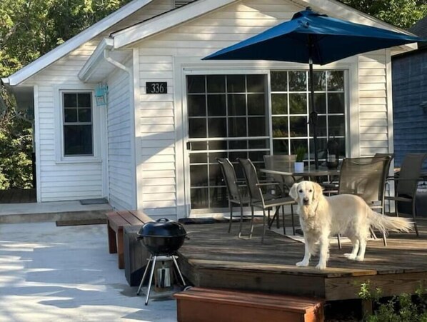 Dog-Welcoming Park Cottage