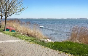 area