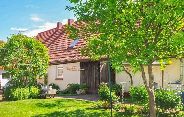 Exteriör