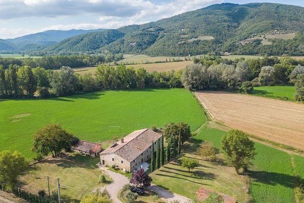 Aerial view