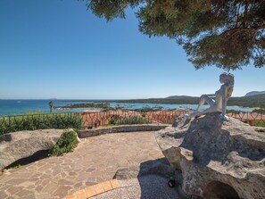 Plant, Sky, Water, Plant Community, Azure, Natural Landscape, Wood, Body Of Water, Coastal And Oceanic Landforms, Horizon
