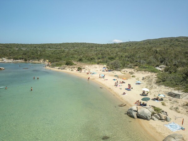Ciel, L'Eau, Plage, Cotiers Et Relief Océaniques, Terrain, Arbre, Loisir, Plante