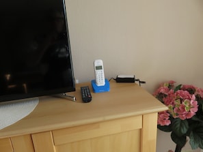 Television