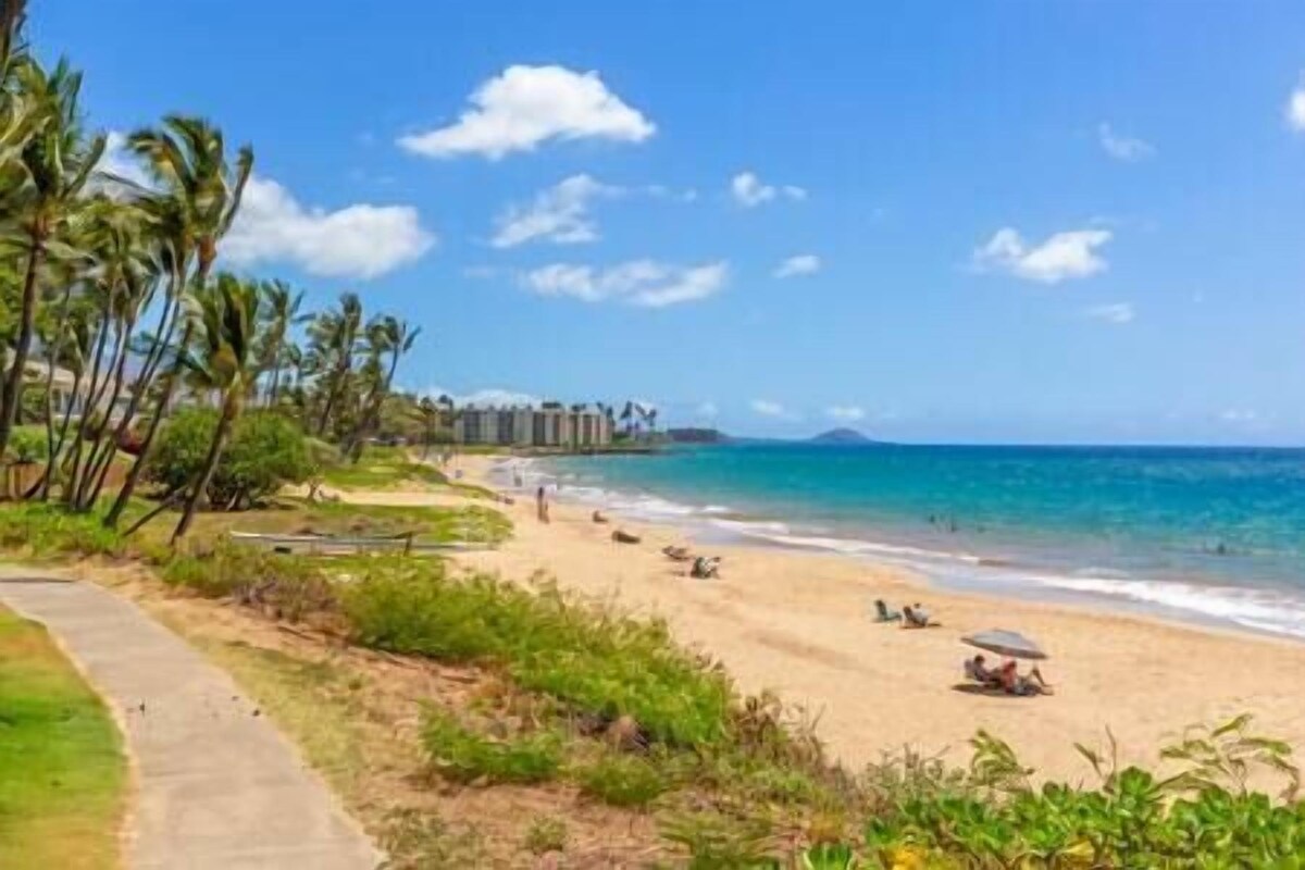 Front Row Eclectic Updated Oceanview S Kihei 1 bedroom 1 bathroom condo