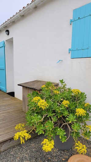 Detalle exterior
