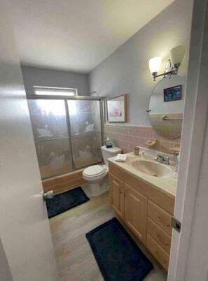 Large bathroom with tub/shower combo and excellent water pressure and hot water.