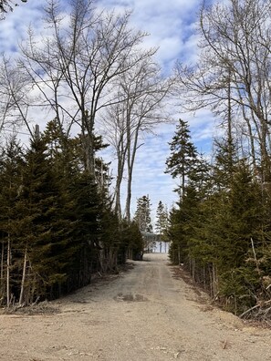 Lane to the cabin