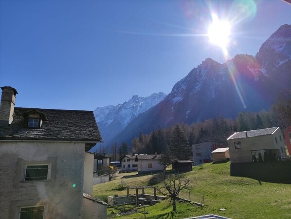 Picture 1