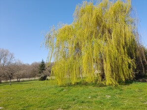 Boendeområde