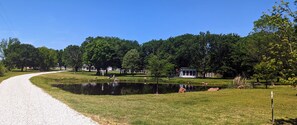 Our pond with She Shed and Cottage in the background.