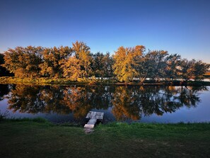 Miscellaneous