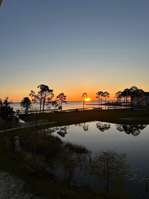 The best light show happens twice daily, dusk and dawn!