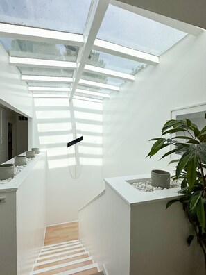 Skylight