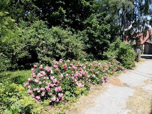 Boendeområde