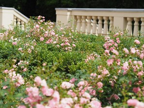 Residenz Bleichröder, Rosengarten