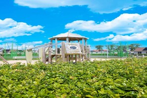 Garden [summer]