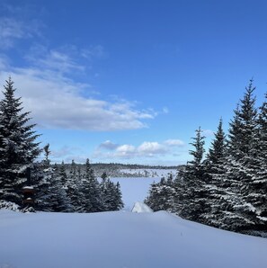 Winter Wonderland