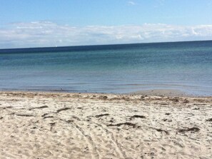 Strand bei Hasselberg mit separatem Hundestrand