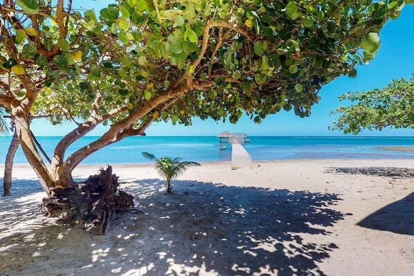 Beautiful Sandy Beach just a short one minute walk from the home. 