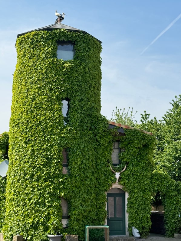 Exteriör
