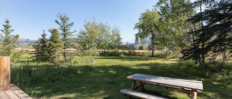 Enjoy a picnic